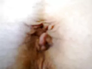 Handjob66 phim sex h ...